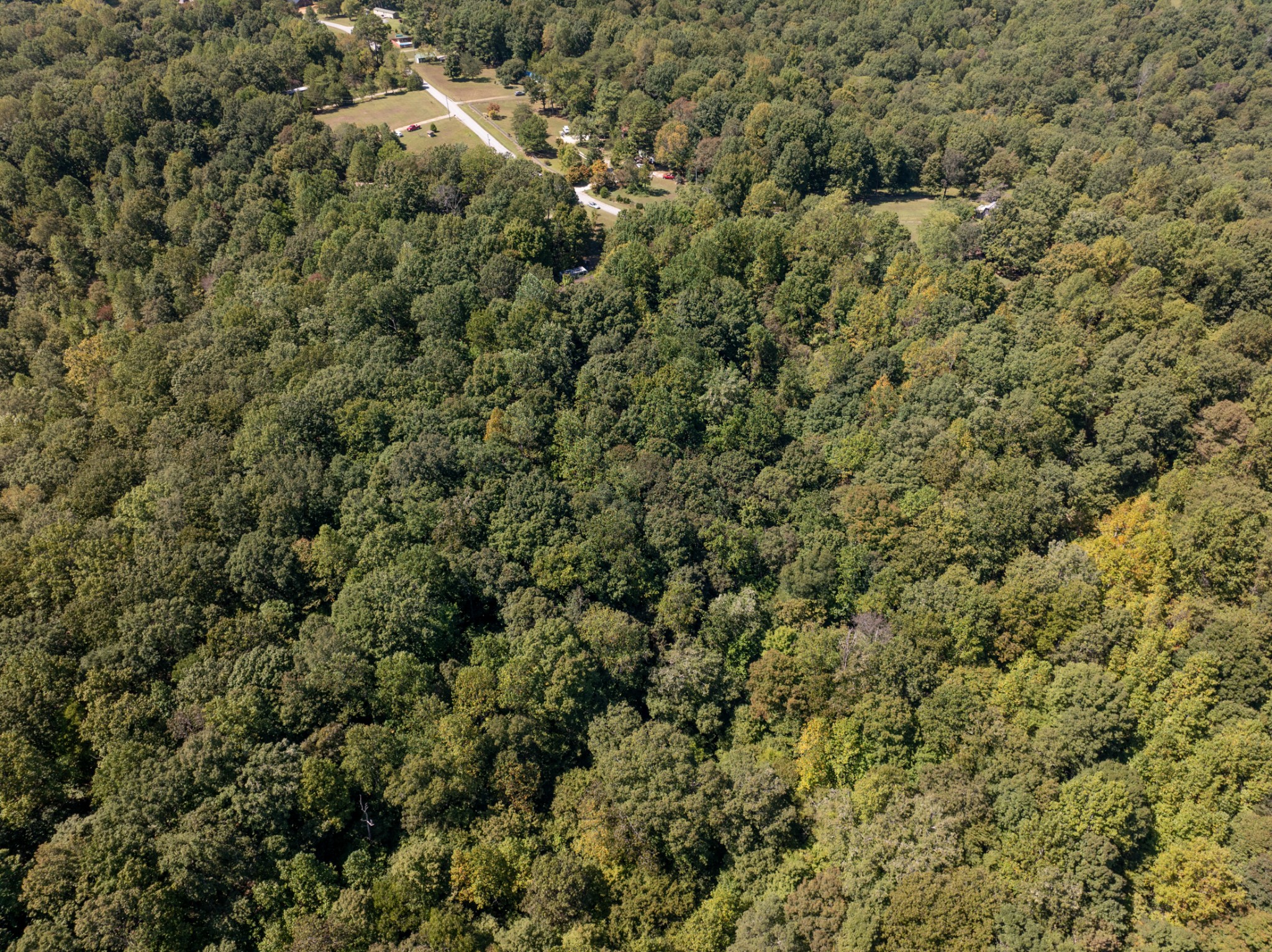 1028 Callahan Road White Bluff, TN 37187 - Photo 7 of 15 an aerial view of residential houses with outdoor space