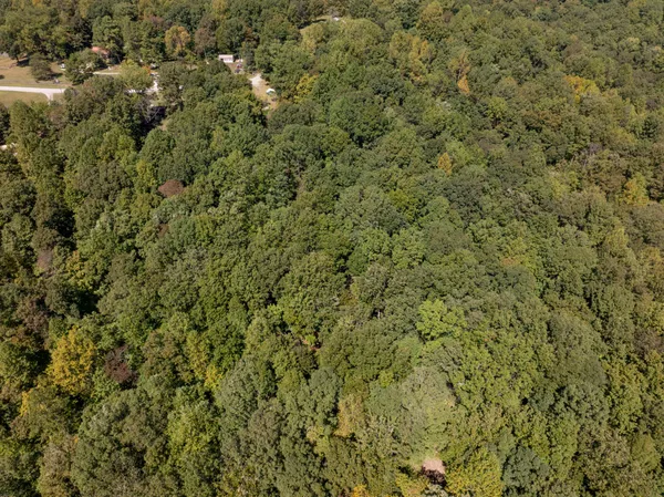a view of a lush green field