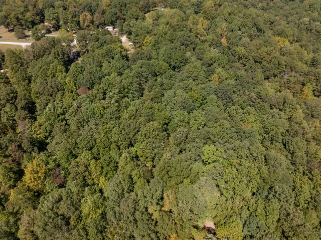 a view of a lush green field