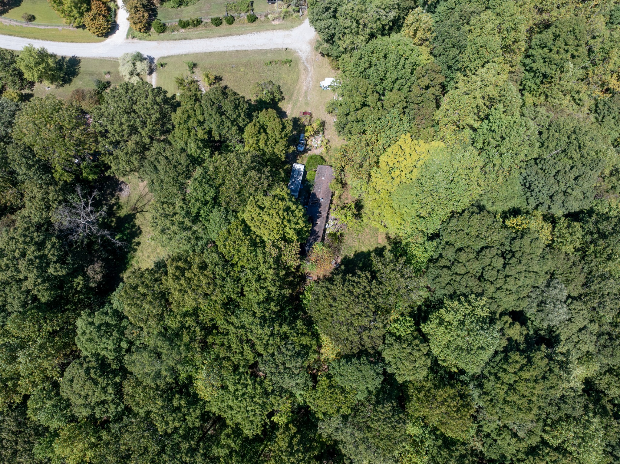 1028 Callahan Road White Bluff, TN 37187 - Photo 9 of 15 a view of a lush green field