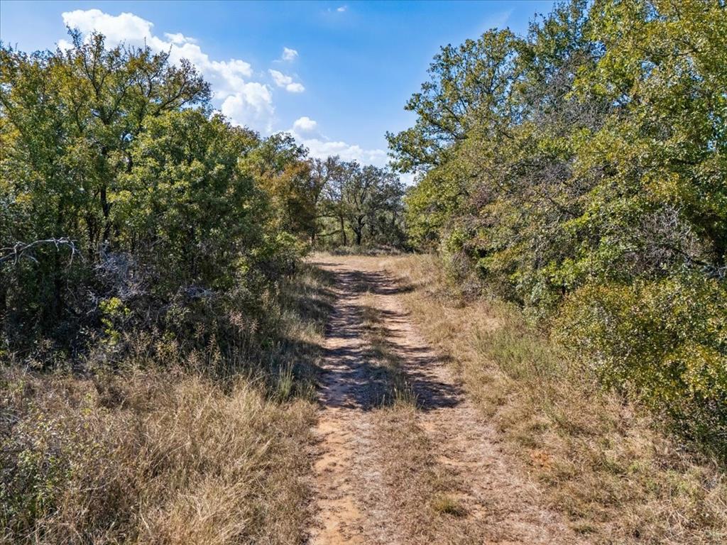 1812 Co 114 Road Mingus, TX 76463 - Photo 15 of 22 a view of a yard with trees