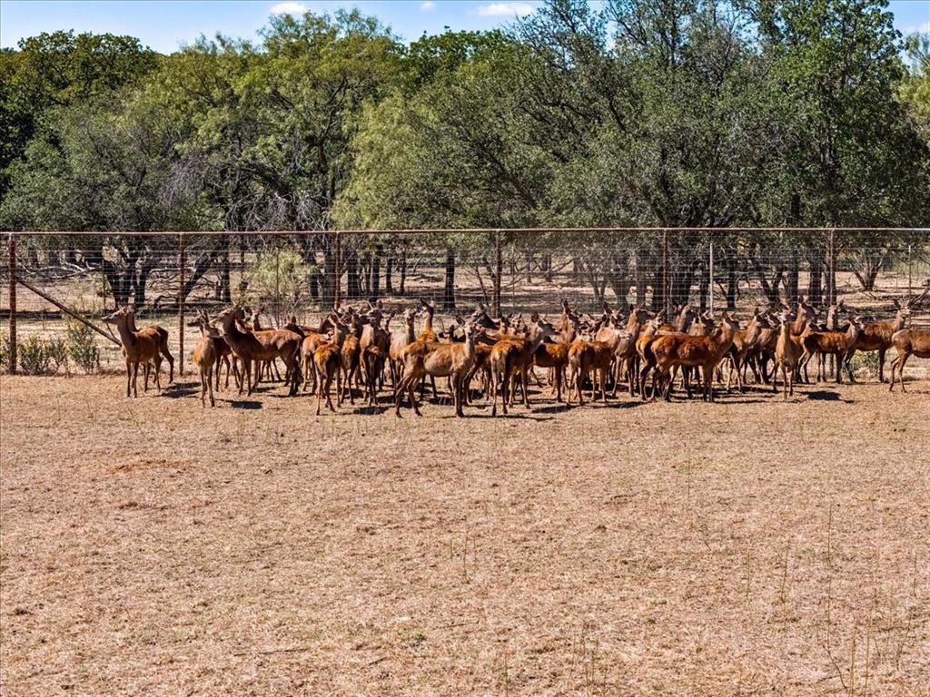 1812 Co 114 Road Mingus, TX 76463 - Photo 8 of 22 a view of a pathway with a wrought fence