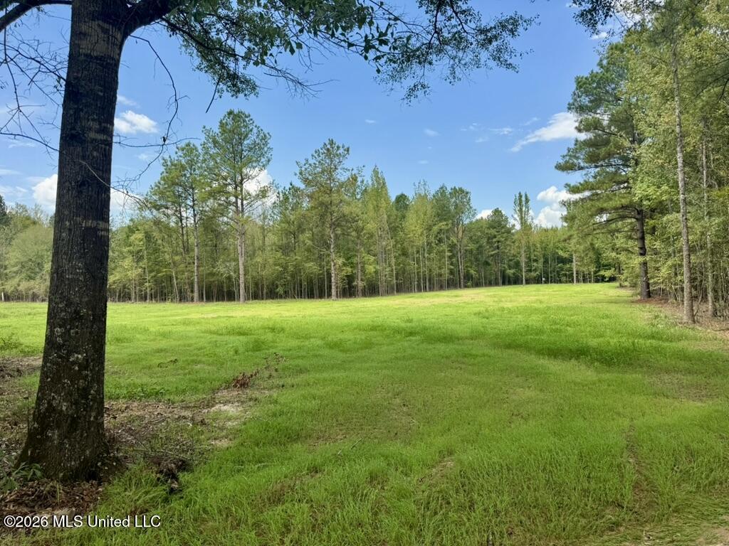 1 Chapel Hill Road Utica, MS 39175 - Photo 94 of 107 81A8B452-5FFF-4A1E-9CFF-7BED51867222_1_1