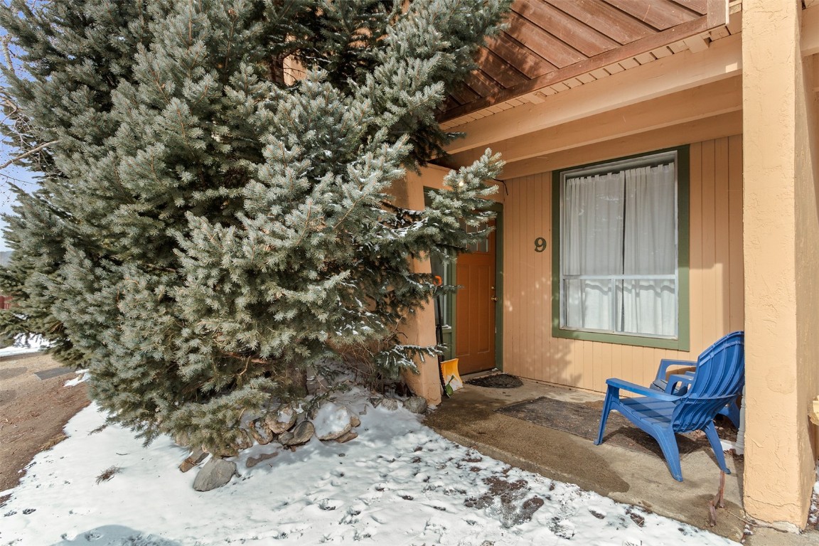 163 High Tor Road, Unit 9 Breckenridge, CO 80424 - Photo 15 of 15 Gallery Image 15