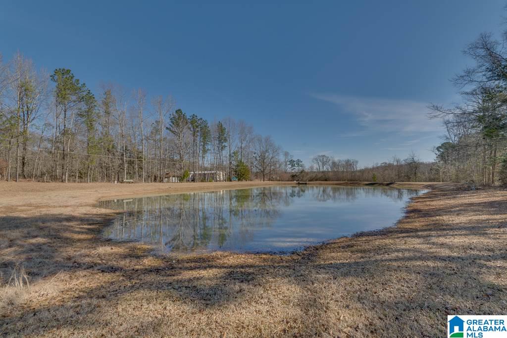 434 County Road 403 Clanton, AL 35045 - Photo 46 of 50
