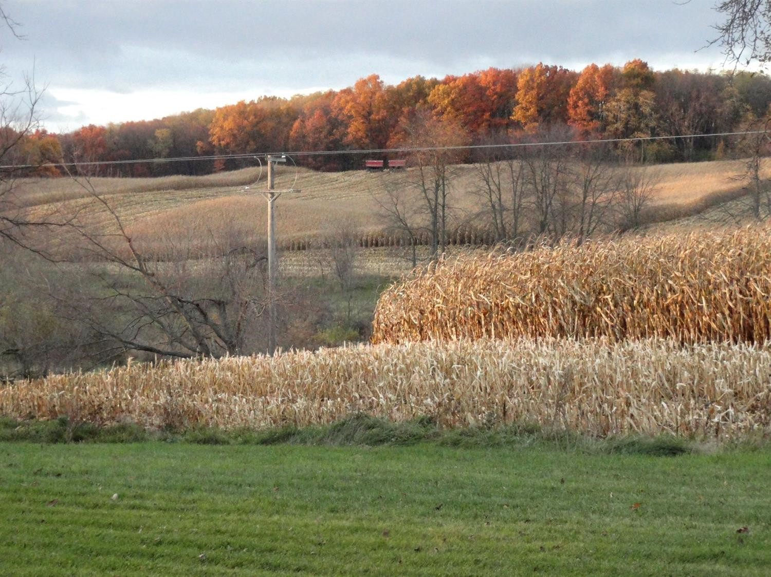13342 McKinley Road Chelsea, MI 48118 - Photo 29 of 32 Photo 29