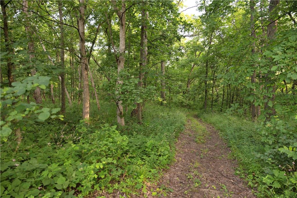Northwest Waller Road Richmond, MO 64085 - Photo 22 of 80