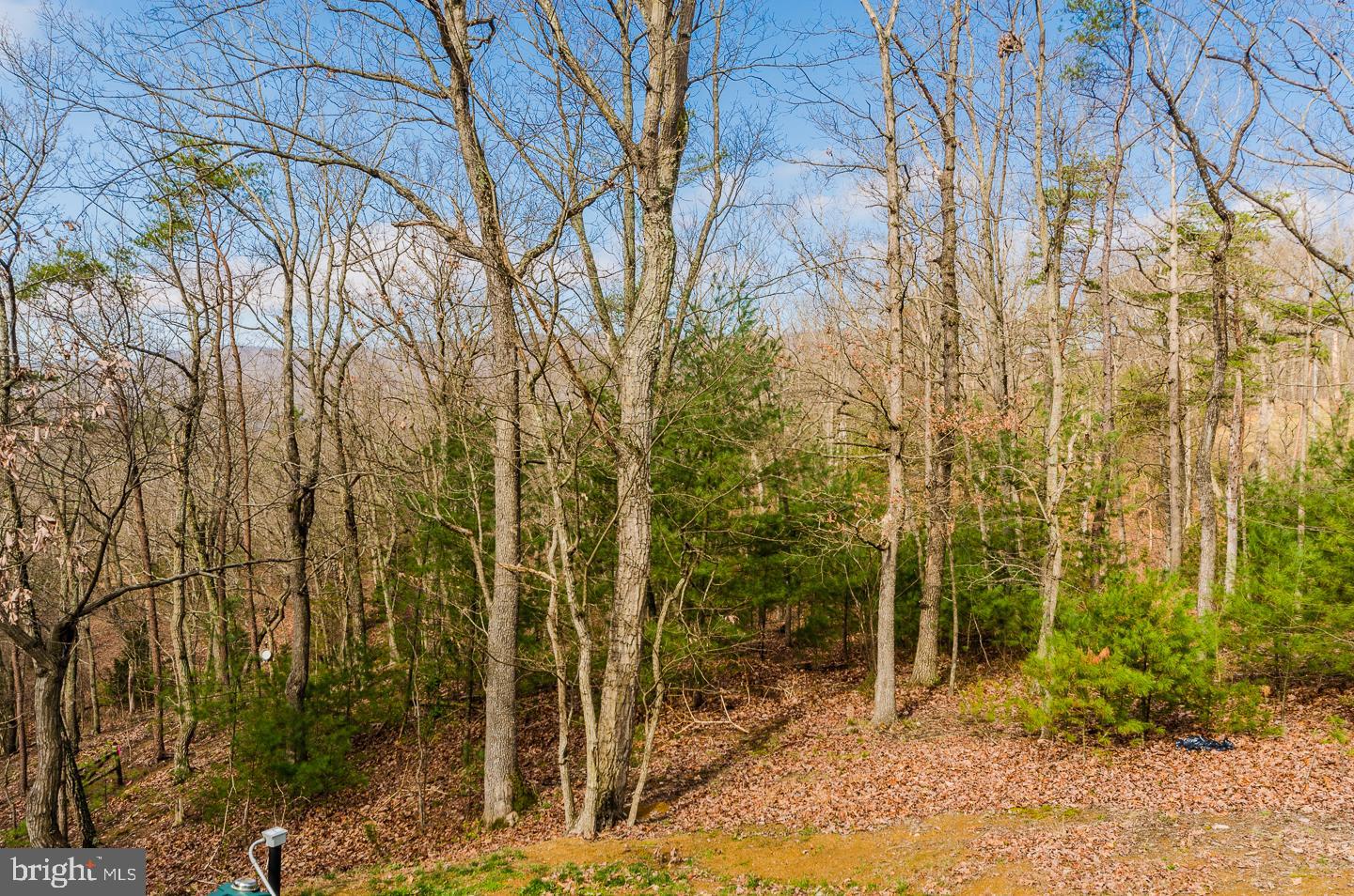 1204 Arrowhead Road Front Royal, VA 22630 - Photo 35 of 40 Gallery Image 35