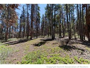 205 Rac Jac Way Breckenridge, CO 80424 - Photo 2 of 7 a view of covered with trees