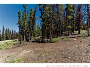 205 Rac Jac Way Breckenridge, CO 80424 - Photo 3 of 7 a view of outdoor space with trees