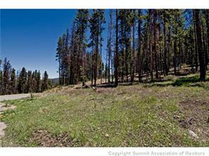 205 Rac Jac Way Breckenridge, CO 80424 - Photo 4 of 7 a view of outdoor space with trees