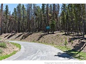 205 Rac Jac Way Breckenridge, CO 80424 - Photo 5 of 7 a view of a park with large trees