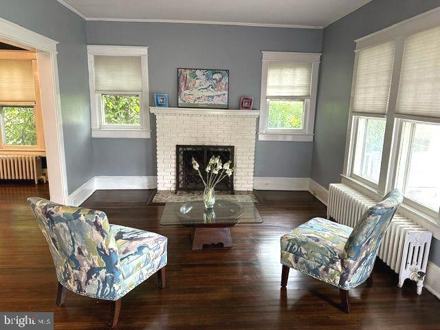 4608 West Virginia Avenue Bethesda, MD 20814 - Photo 14 of 61 a living room with furniture and a fireplace