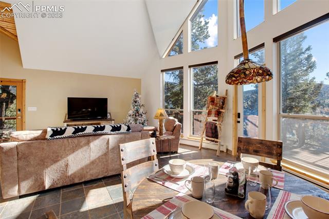 416 Blue Spruce Road Divide, CO 80814 - Photo 13 of 50 Gallery Image 13