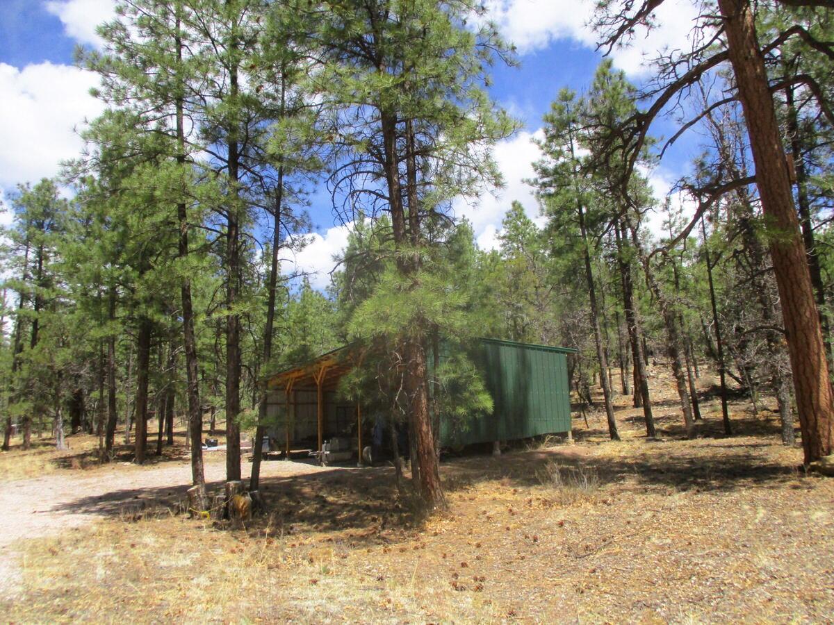 160 Black Bear Road Ramah, NM 87321 - Photo 63 of 103 Gallery Image 63