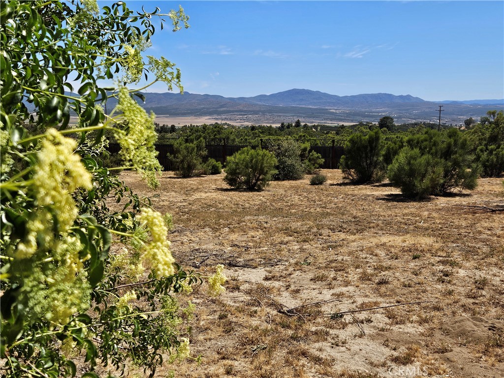 56795 Mount Anza Ca Anza, CA 92539 - Photo 6 of 60