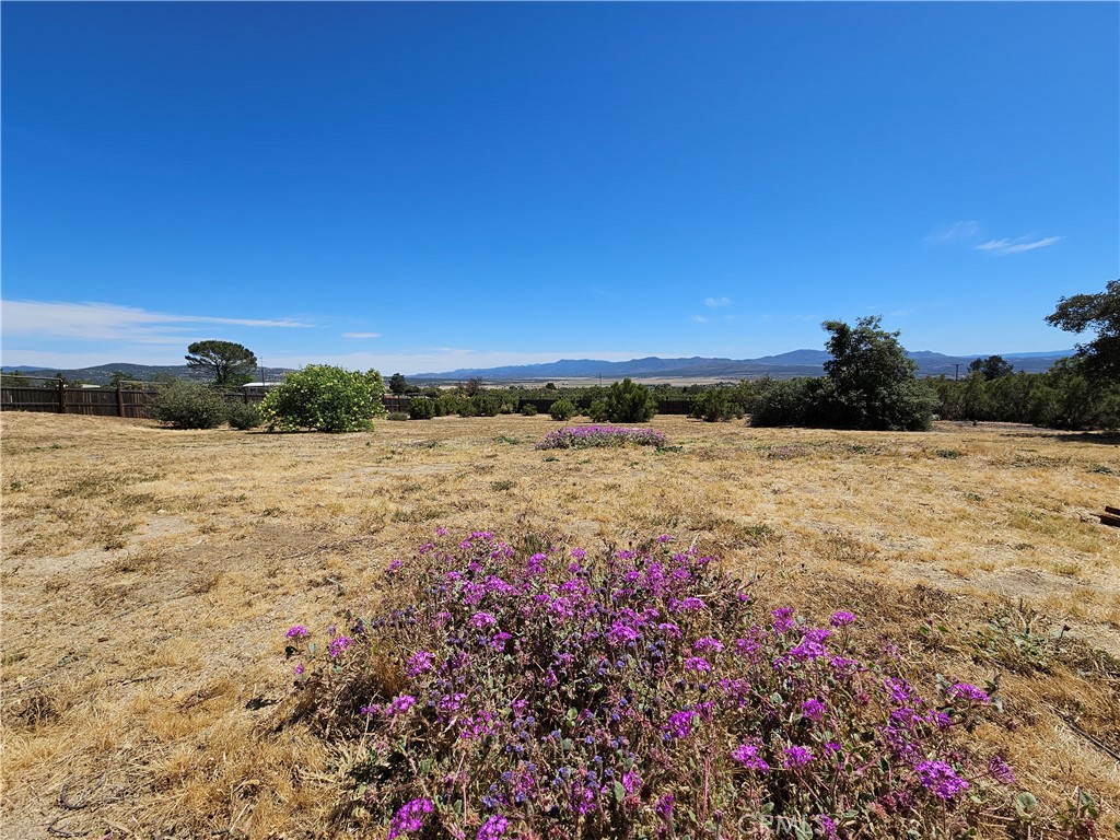 56795 Mount Anza Ca Anza, CA 92539 - Photo 7 of 60