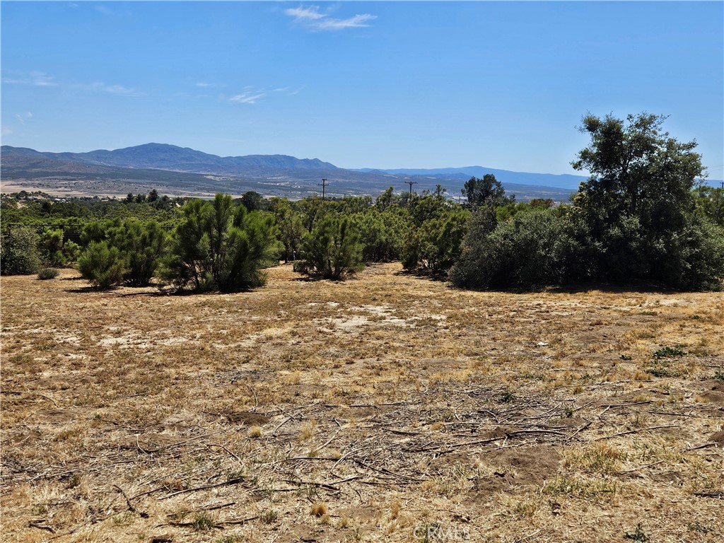 56795 Mount Anza Ca Anza, CA 92539 - Photo 8 of 60