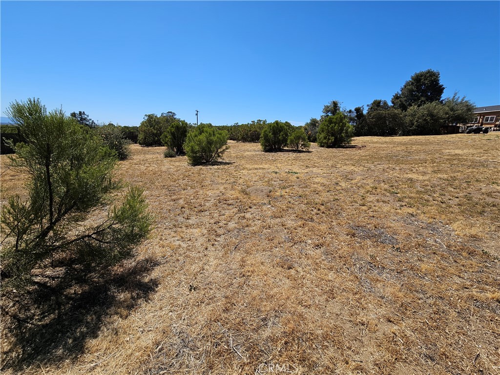 56795 Mount Anza Ca Anza, CA 92539 - Photo 9 of 60