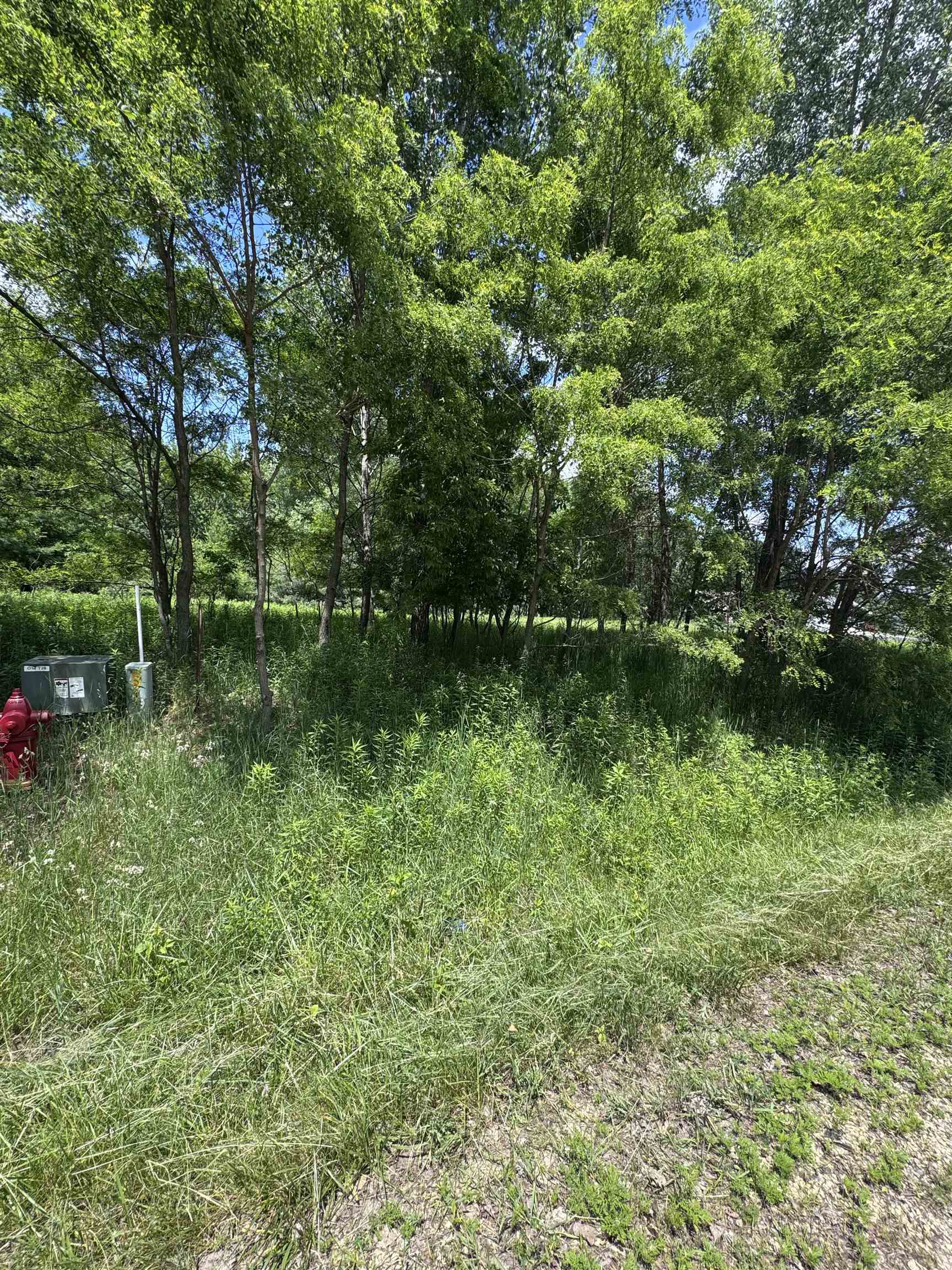 301 Channel Trace Shawano, WI 54166 - Photo 10 of 14