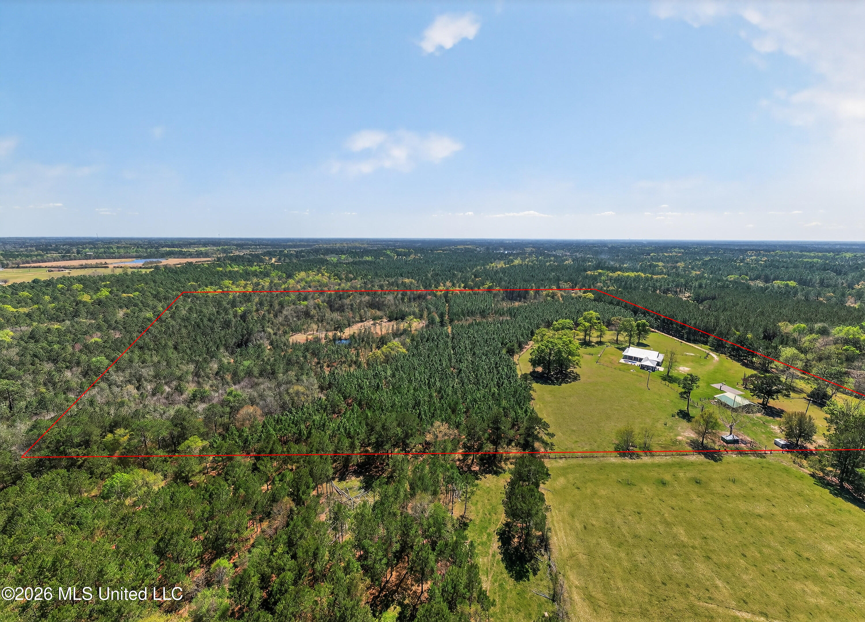 28000 Eugene E Ladner Road Perkinston, MS 39573 - Photo 73 of 83 28000EugeneELadnerRd-76