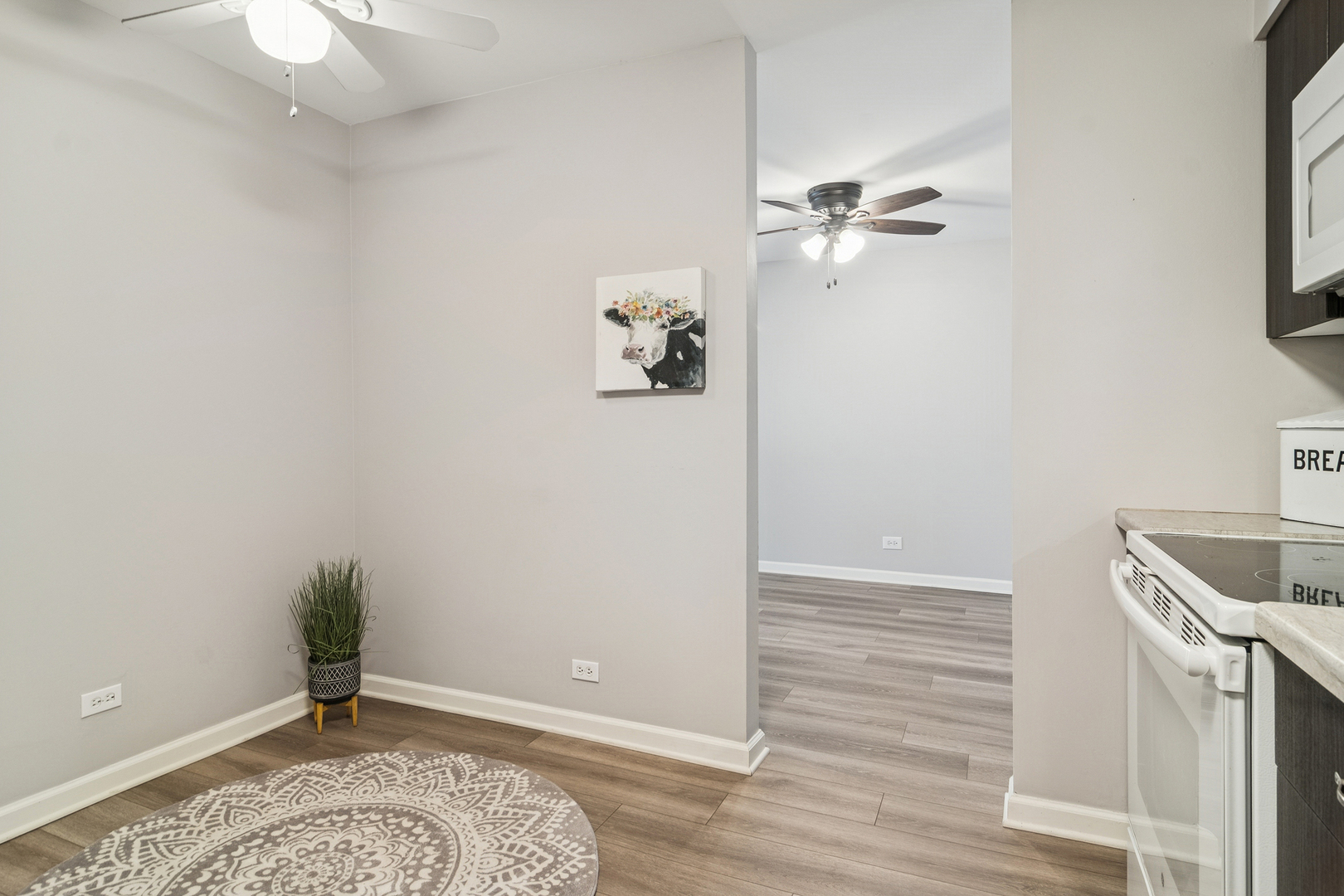 1605 East Central Road, Unit 111B Arlington Heights, IL 60005 - Photo 5 of 26 wooden floor in a hall with a window