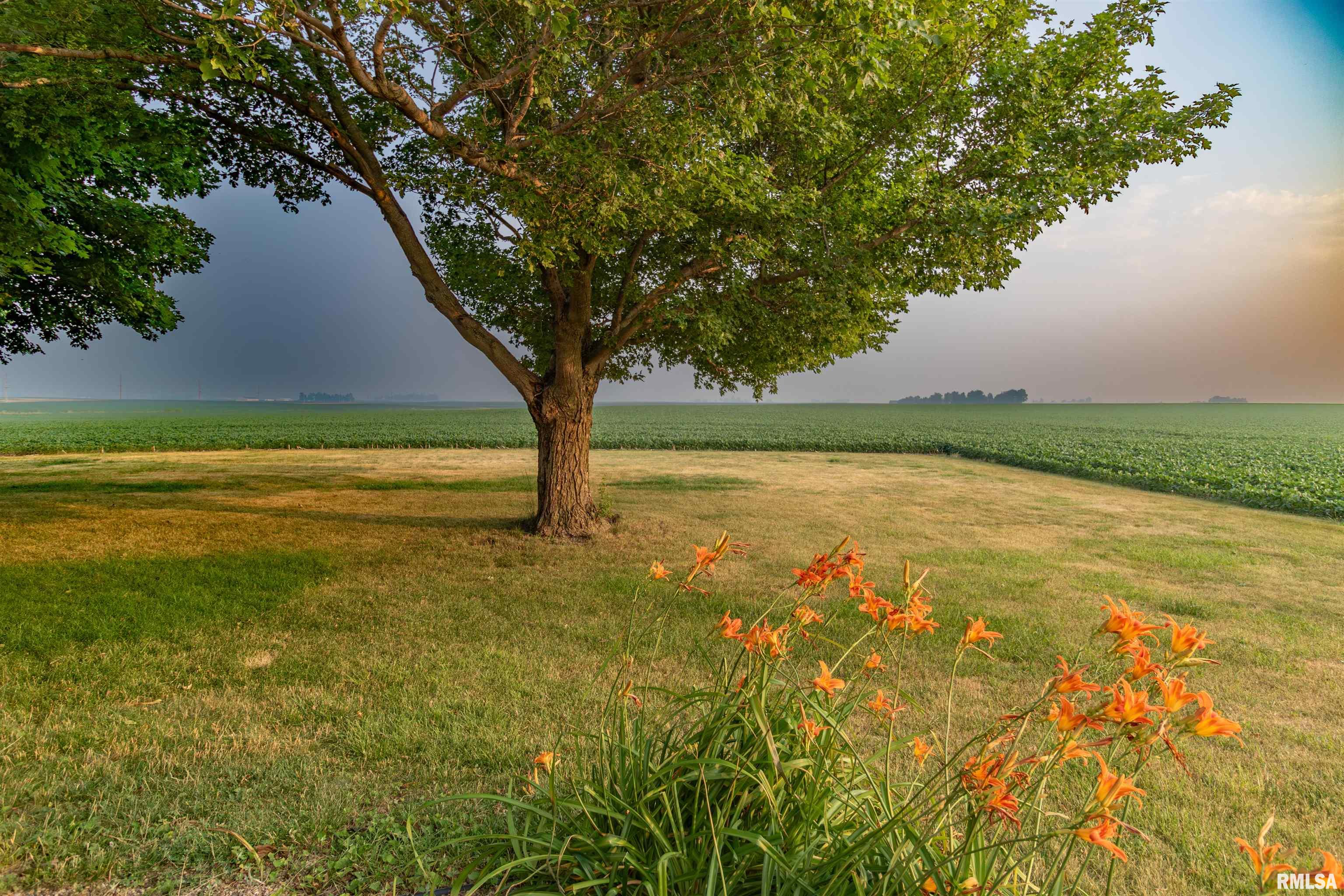1379 County Road 1950 North Lowpoint, IL 61545 - Photo 52 of 56