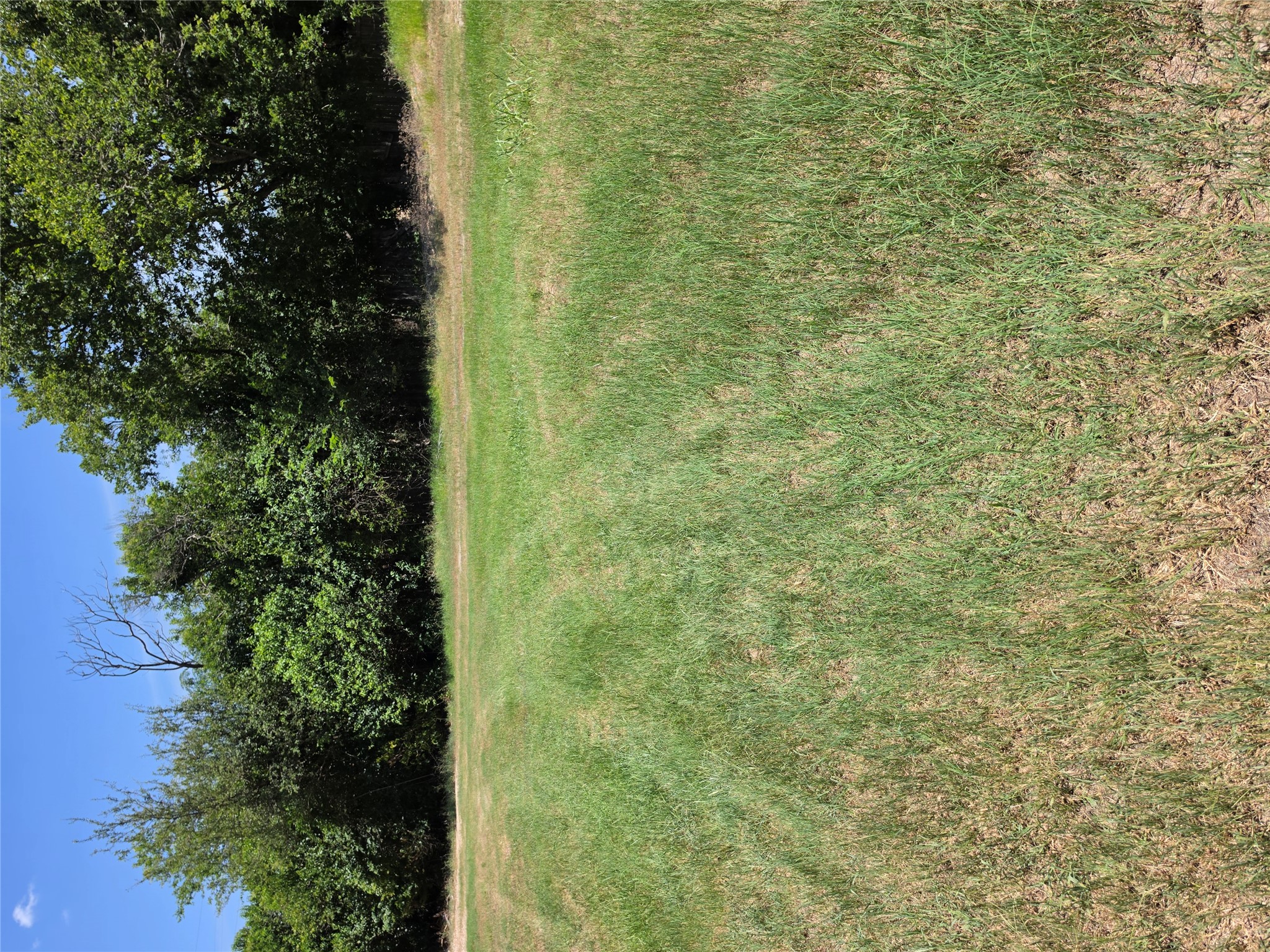 711 2nd Street East Elgin, TX 78621 - Photo 2 of 7 A spacious, verdant lot awaits your vision, bordered by a natural tree line.