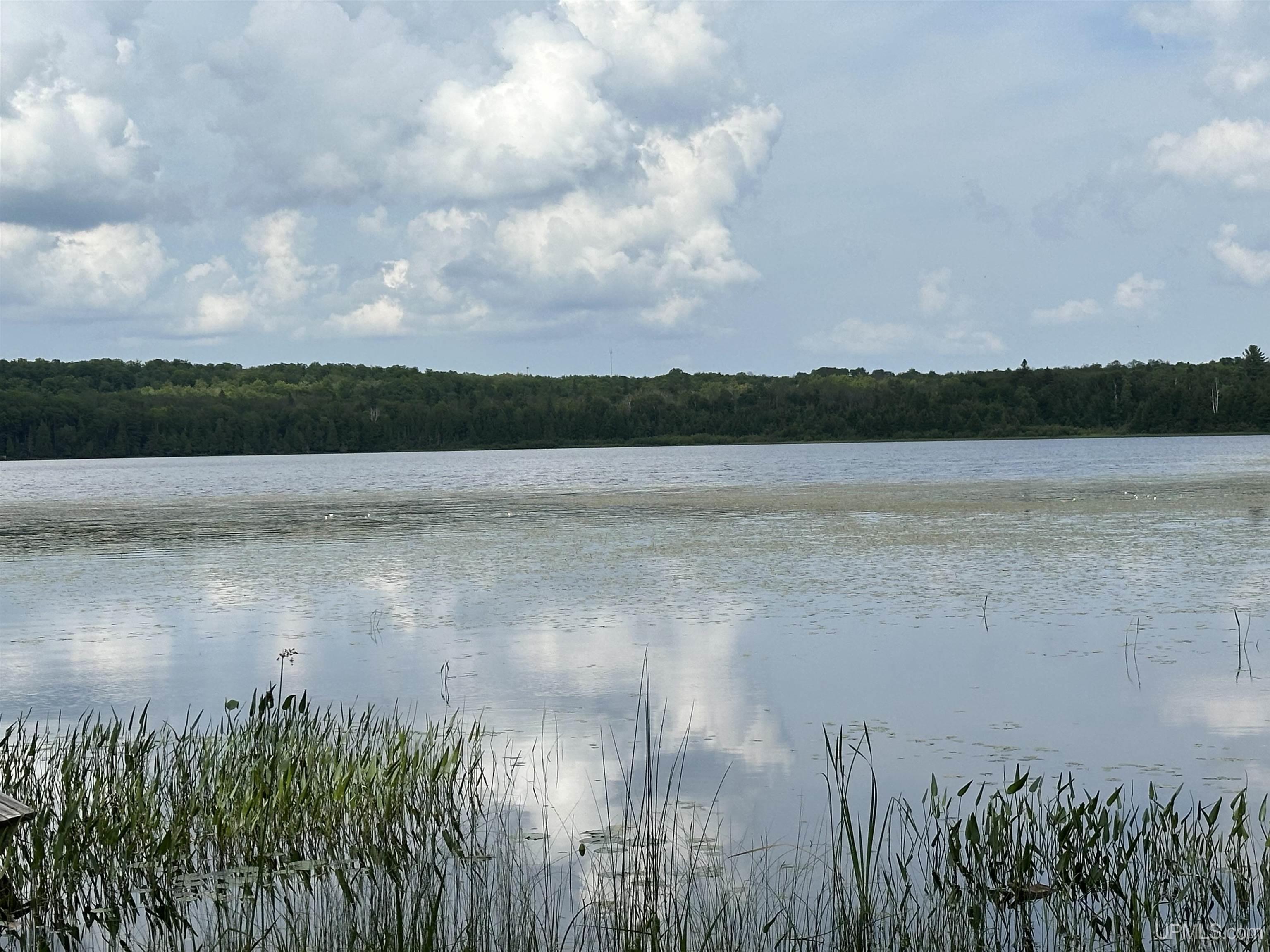 8300 Rd Marenisco Mi 49947 Road Marenisco, MI 49947 - Photo 2 of 13