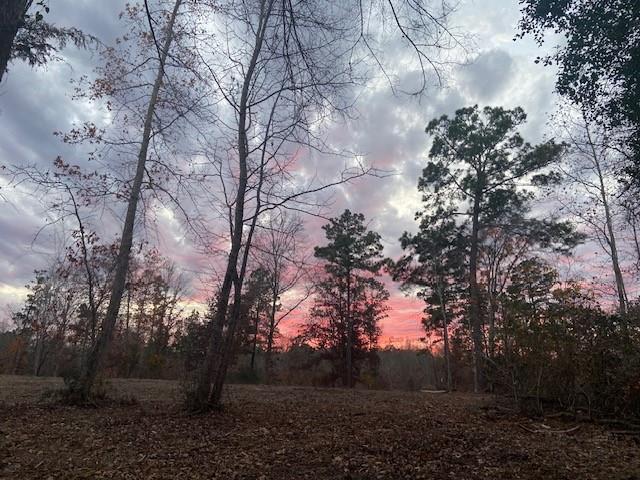 a view of outdoor space and mountain view
