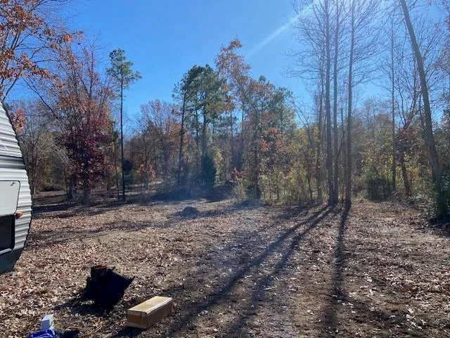 a view of a yard with trees