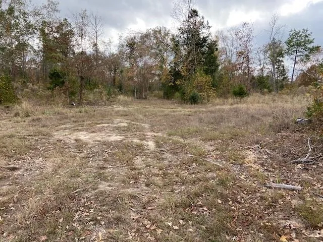 a view of a dry yard with trees