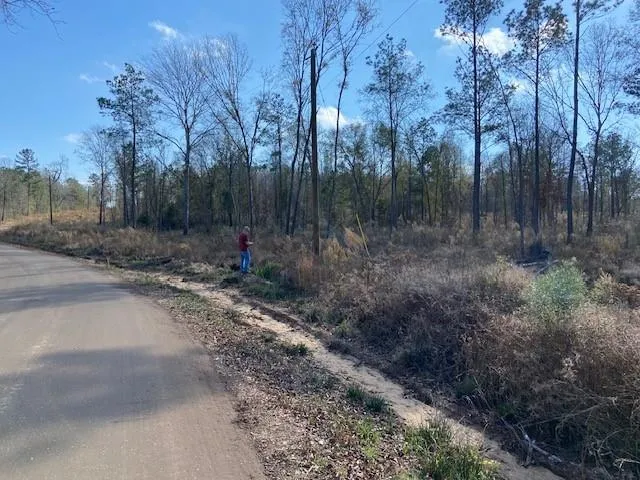 a view of outdoor space with trees