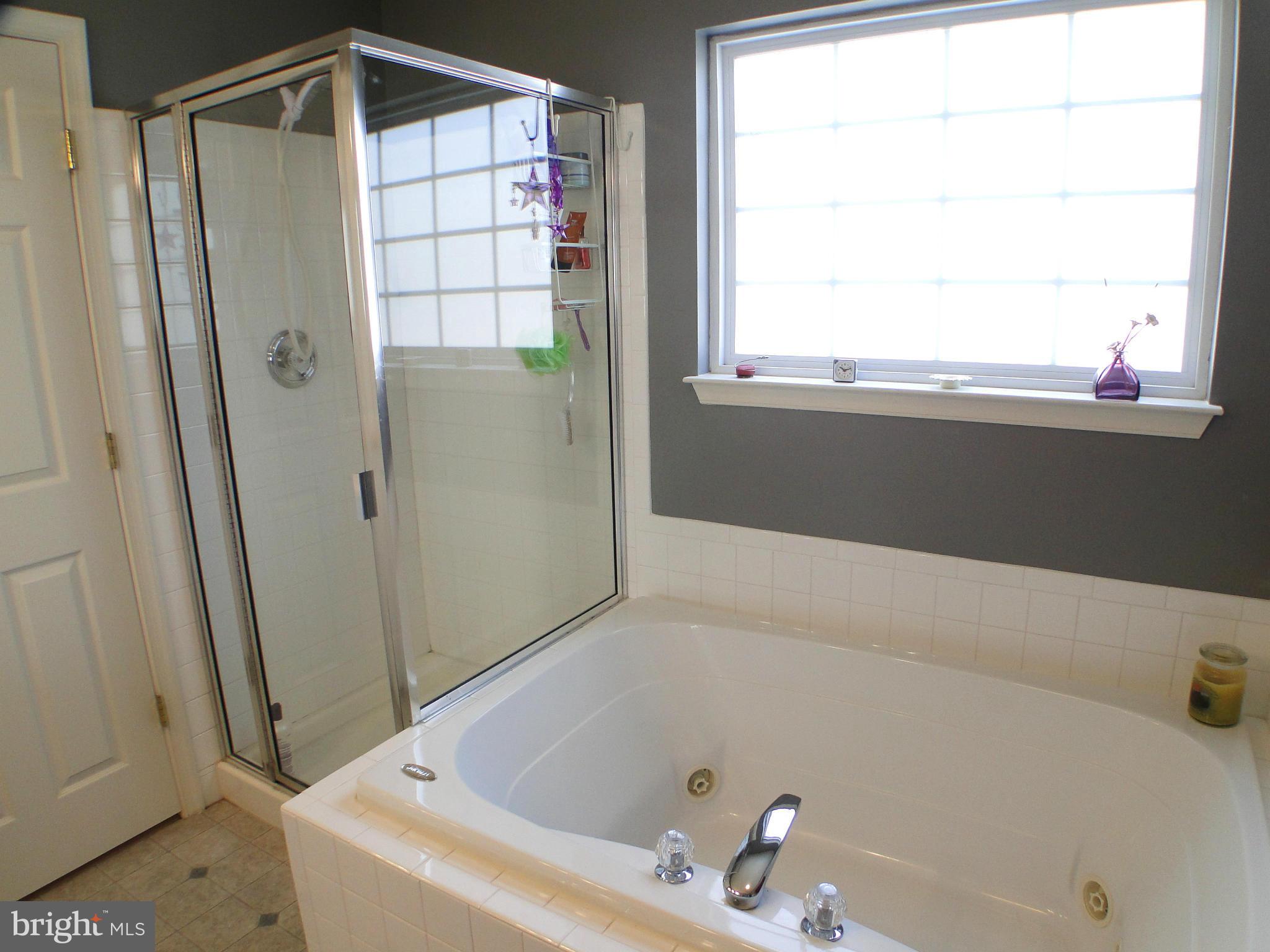 4607 Riddle Drive Baltimore, MD 21236 - Photo 19 of 30 Bath (Master)