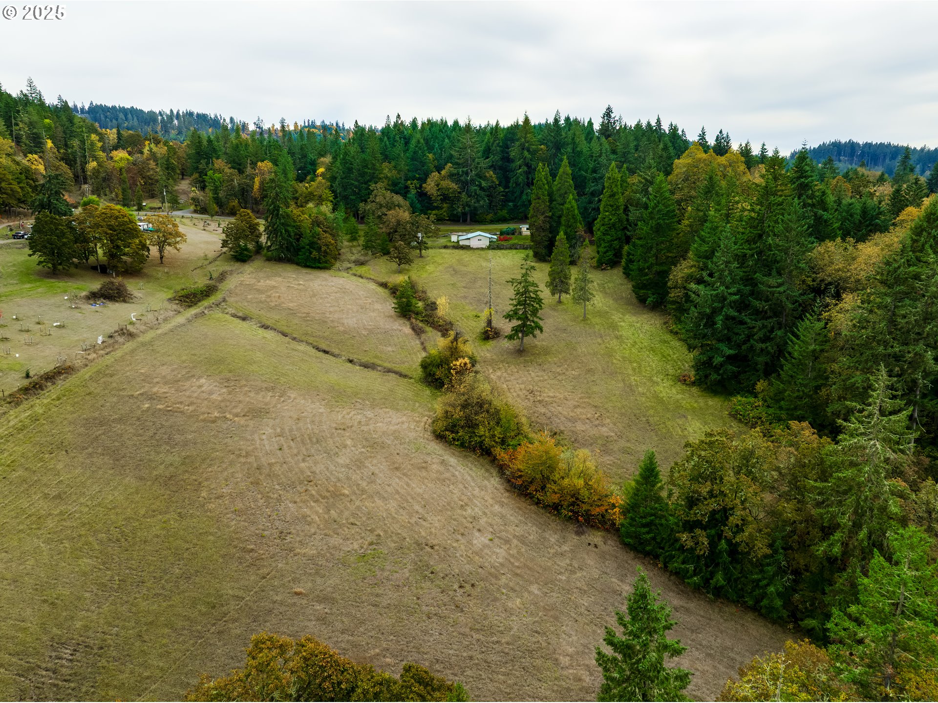 29681 Lusk Road Eugene, OR 97405 - Photo 16 of 26 Gallery Image 16