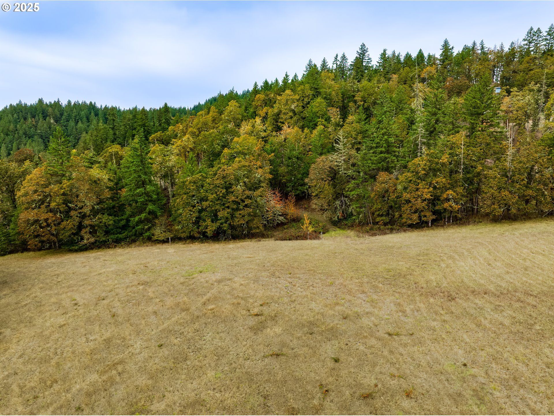 29681 Lusk Road Eugene, OR 97405 - Photo 4 of 26 Gallery Image 4