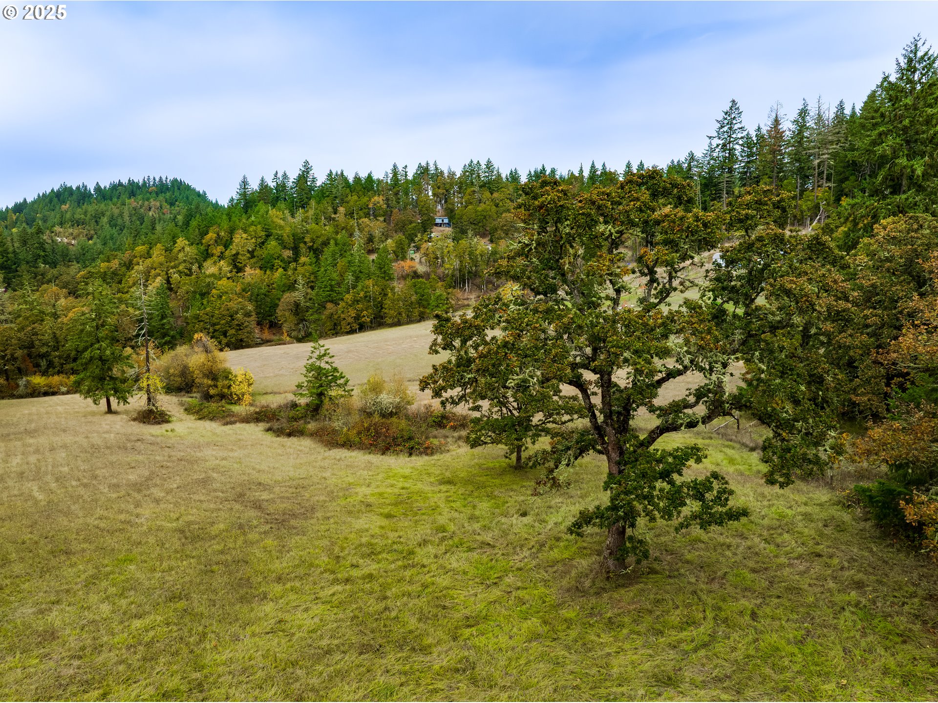 29681 Lusk Road Eugene, OR 97405 - Photo 8 of 26 Gallery Image 8