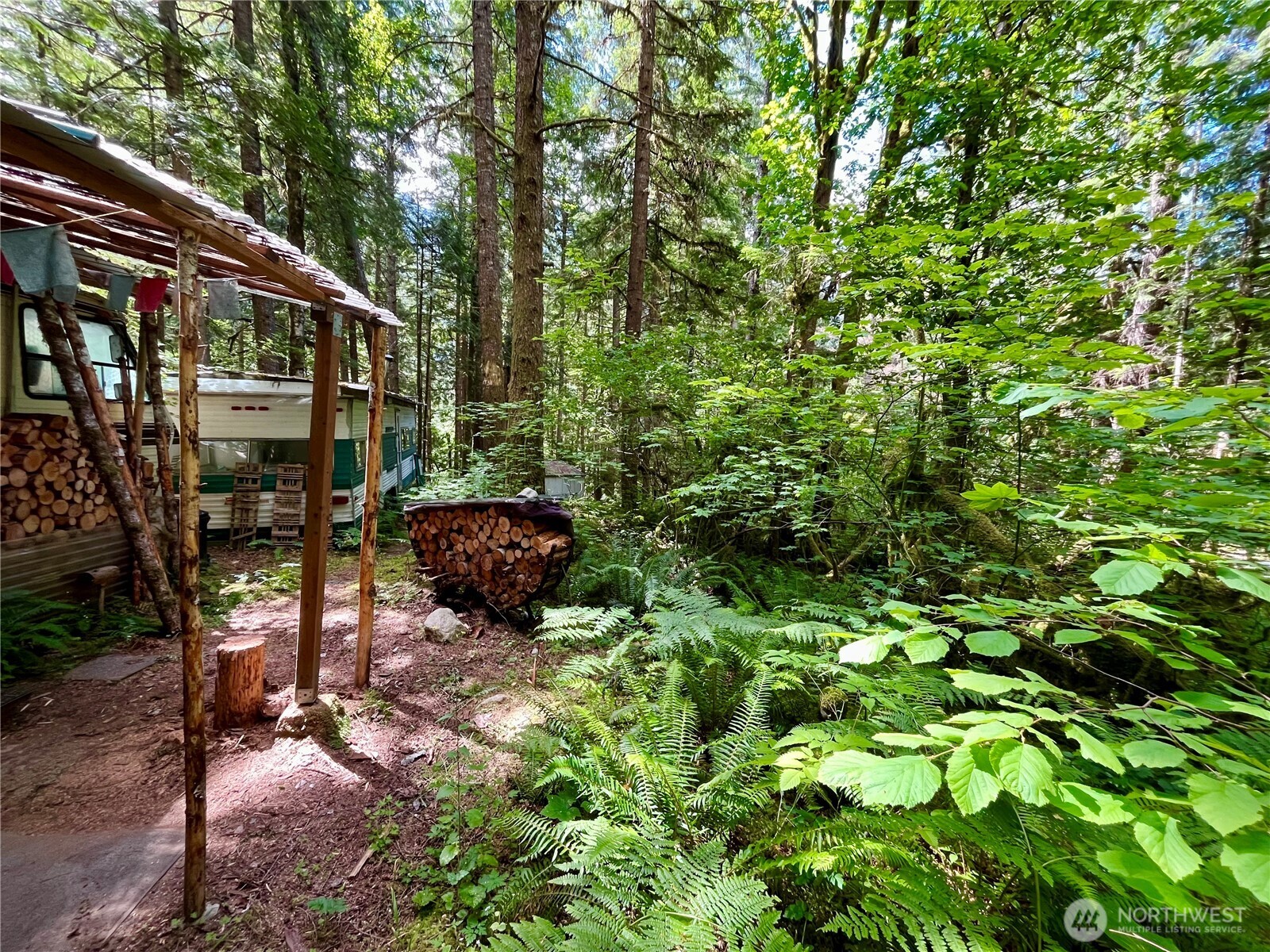 a backyard of a house with barbeque oven and trees