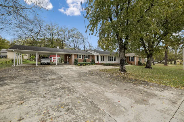 a view of outdoor space yard and tree