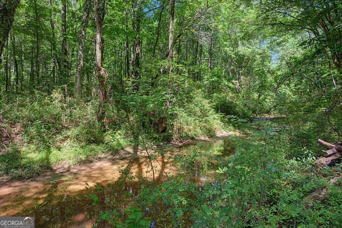 1381 Star Point Road Carrollton, GA 30116 - Photo 50 of 56