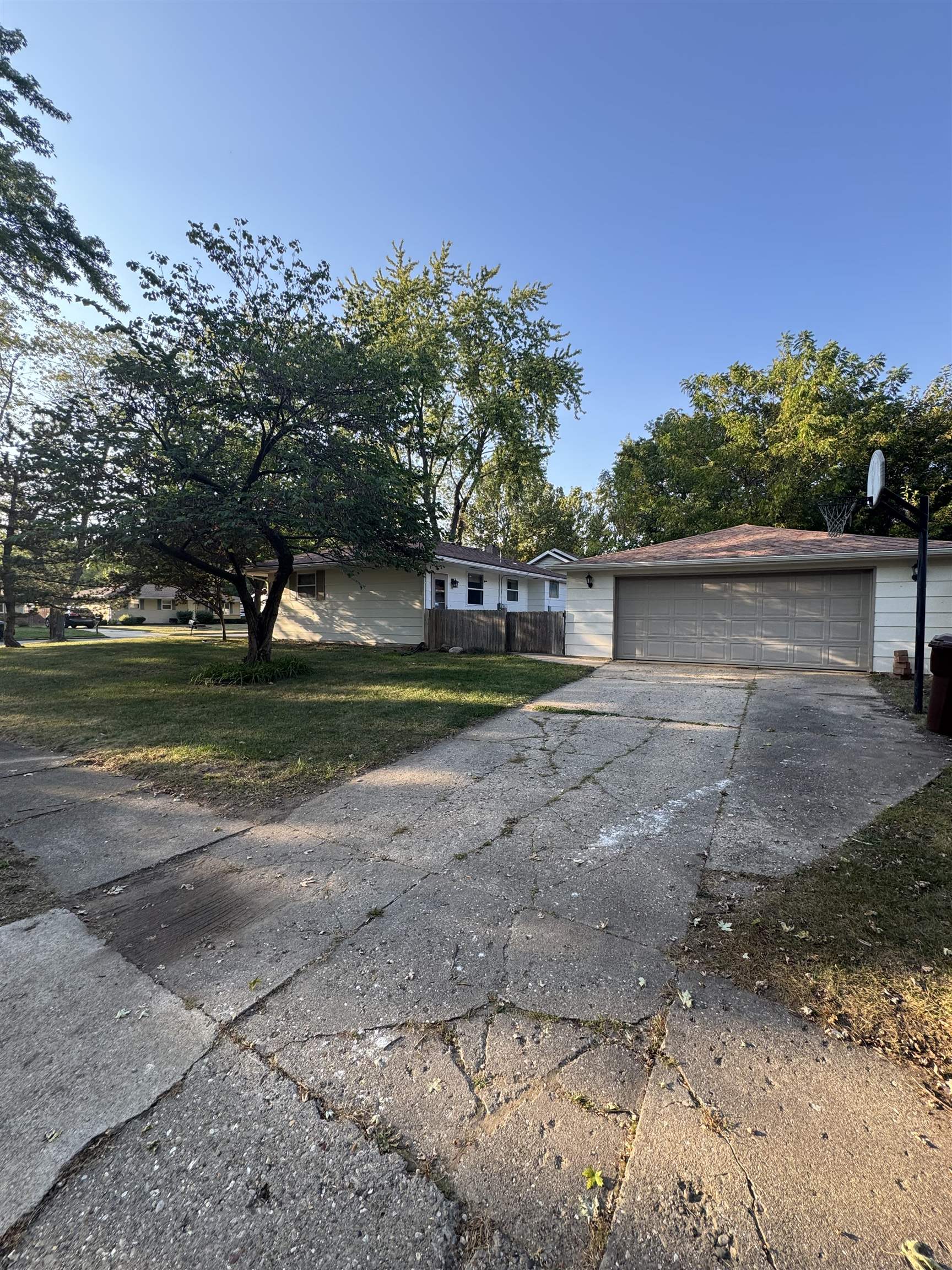 1120 Esmond Drive Rockford, IL 61108 - Photo 3 of 20 a view of a yard with plants and large trees