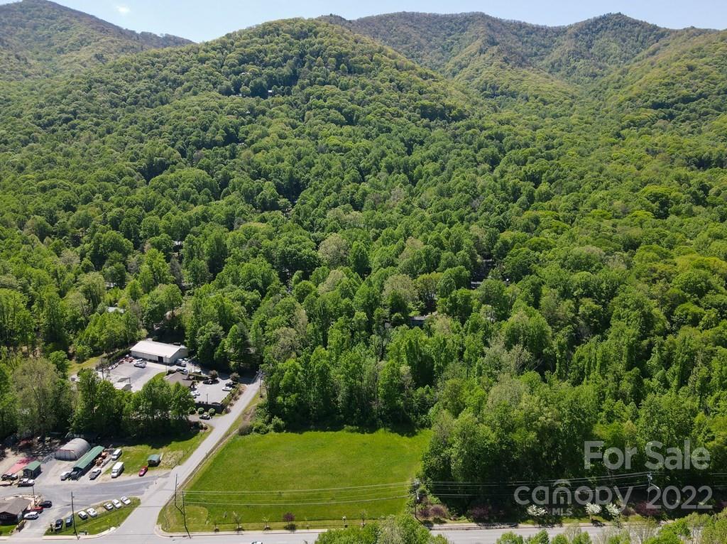 9999 A Soco Road Maggie Valley, NC 28751 - Photo 6 of 29 a view of a lush green field with lots of bushes