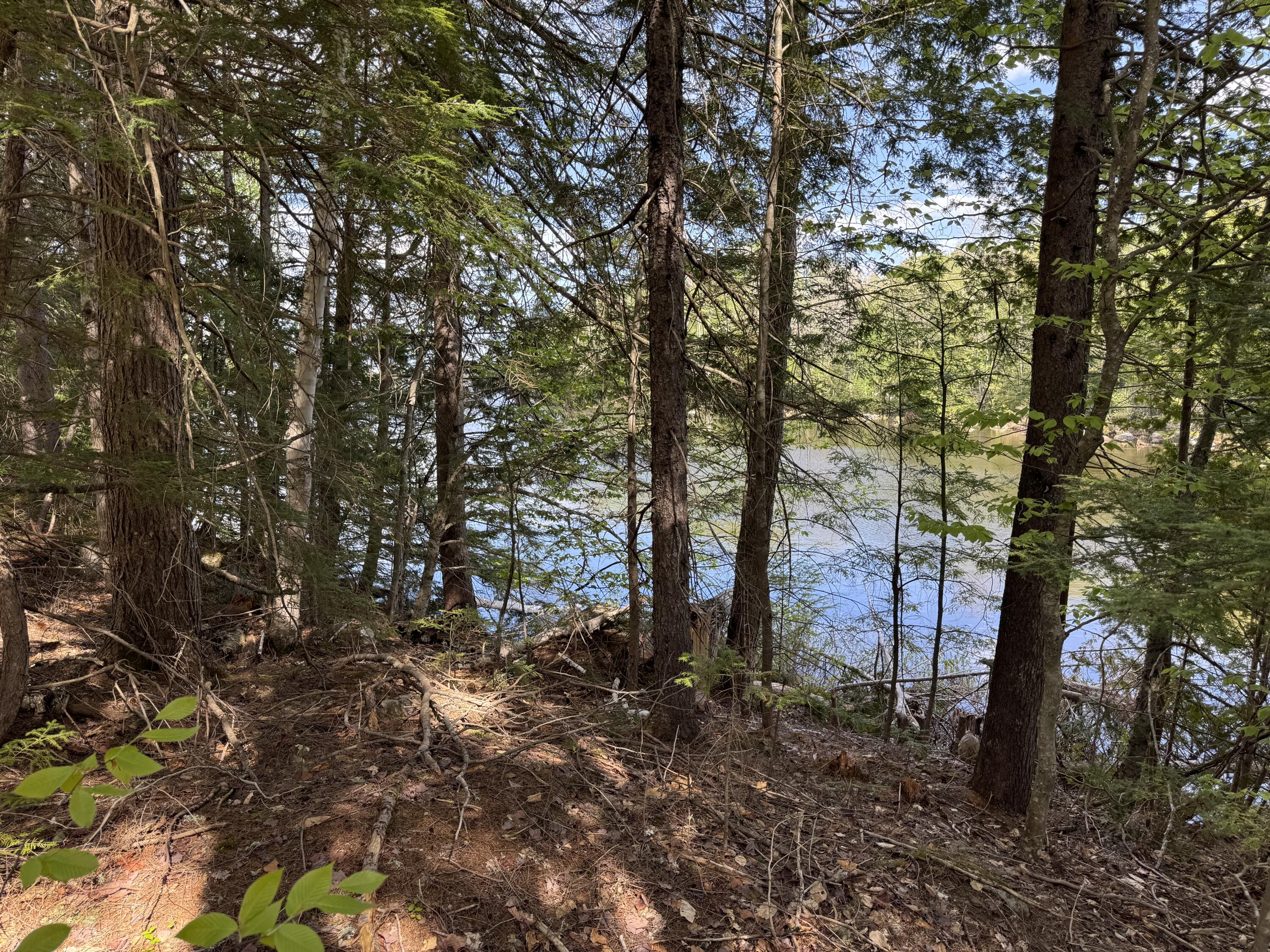 0 Elbow Lake Road Millinocket, ME 04462 - Photo 17 of 33 IMG_0406