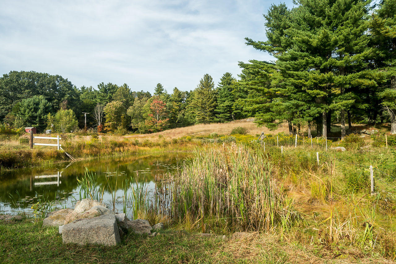273 Fall Road Lebanon, ME 04027 - Photo 9 of 46 011-273FallRd-Lebanon-ME-small