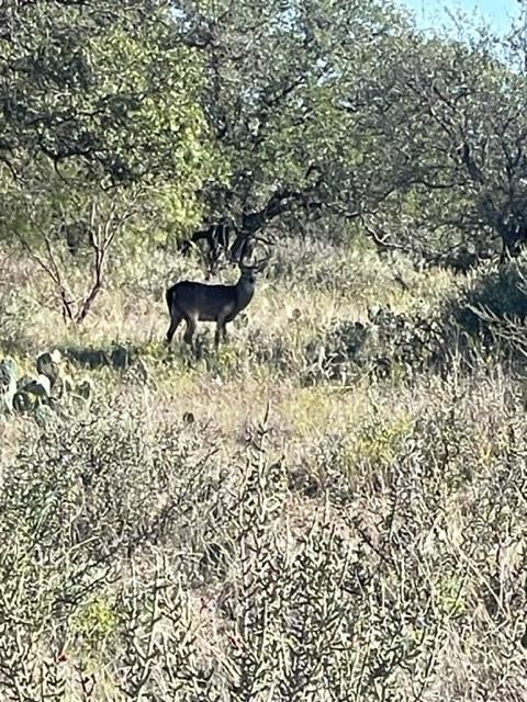 204 Cr Richland Spgs