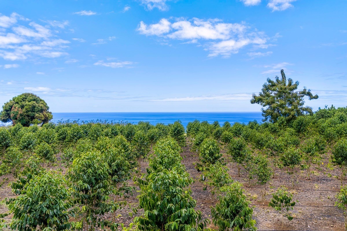 85-5185 Kiilae Road Captain Cook, HI 96704 - Photo 23 of 30 Gallery Image 23