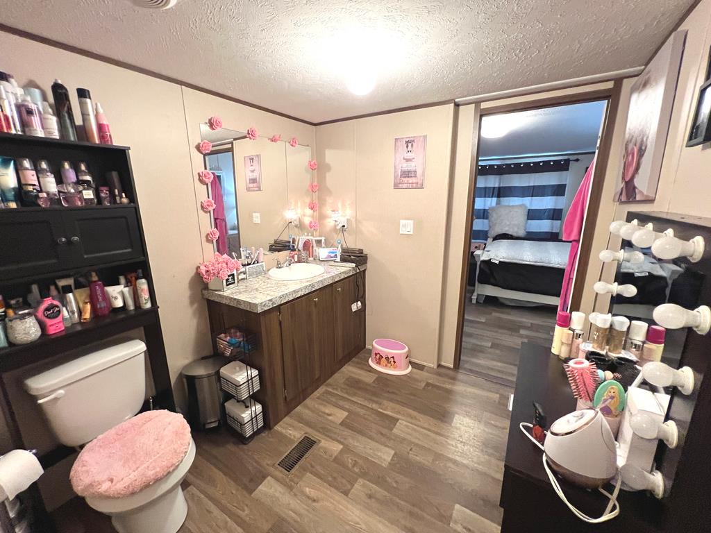 138 3rd Street Harper, TX 78631 - Photo 17 of 32 a bathroom with a sink mirror vanity and toilet