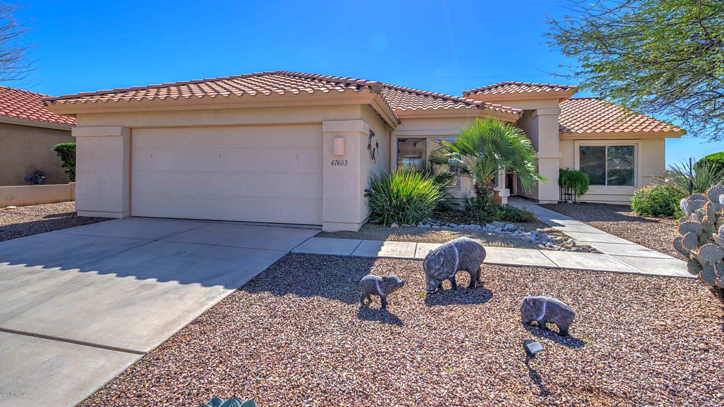 61603 East Border Rock Road Tucson, AZ 85739 - Photo 25 of 28