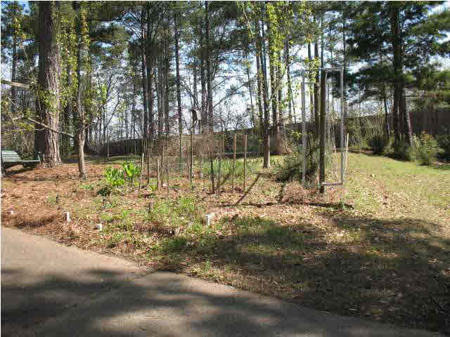 7106 Edgewater Drive Ridgeland, MS 39157 - Photo 3 of 25 Photo 3