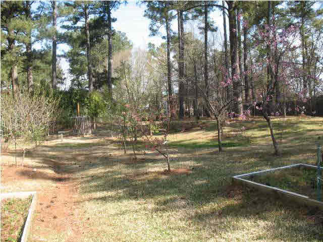 7106 Edgewater Drive Ridgeland, MS 39157 - Photo 4 of 25 Photo 4